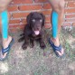 Su primer paseo.